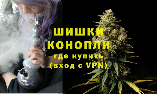 крисы Арсеньев