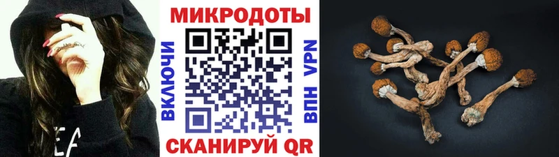 как найти наркотики Новопавловск Псилоцибиновые грибы MAGIC MUSHROOMS